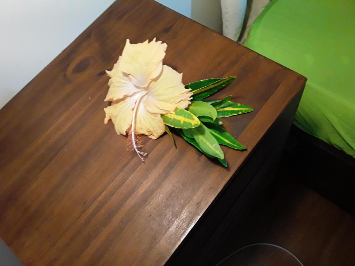 帕皮提 Royal Vai酒店 外观 照片